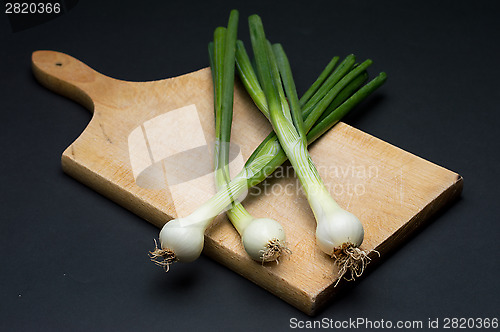 Image of Onion