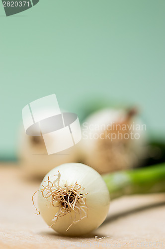 Image of Onion