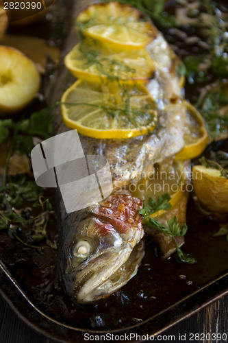 Image of Baked Rainbow Trout