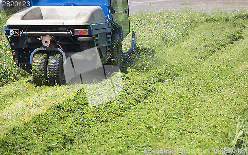 Image of Cutting grass_1