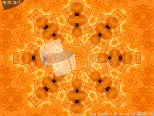 Image of Abstract pattern from autumn leaf