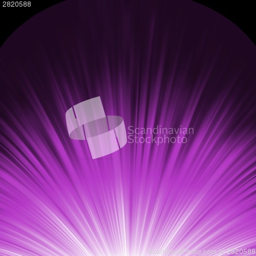 Image of Star burst porple and white flare. EPS 8