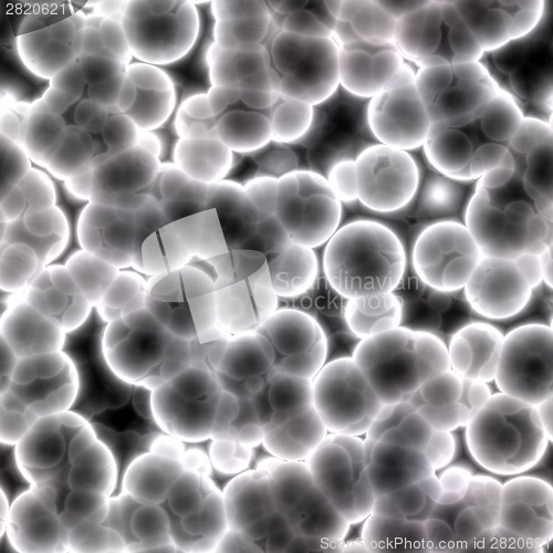 Image of Bacteria cells close up