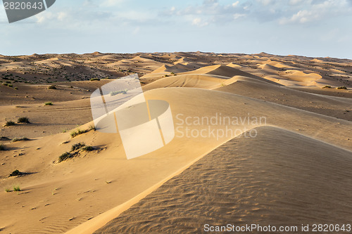 Image of Desert Wahiba Oman