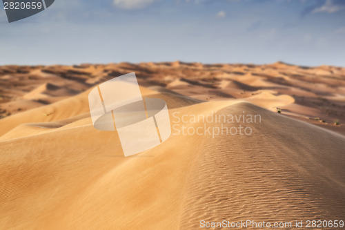 Image of Desert Wahiba Oman