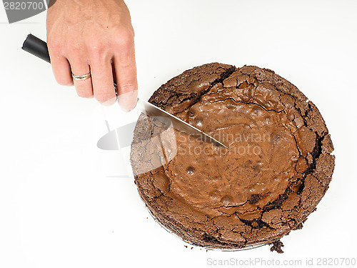 Image of Fresh chocolate cake