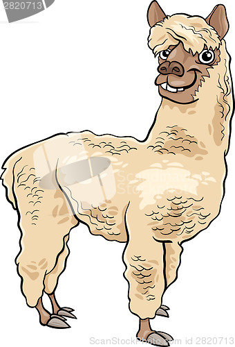 Image of alpaca animal cartoon illustration