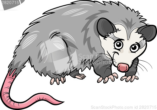 Image of opossum animal cartoon illustration