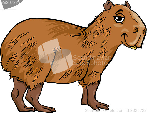 Image of capybara animal cartoon illustration