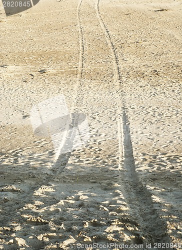 Image of tyre tracks on the sand