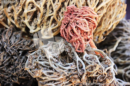 Image of Spices and herbs on market