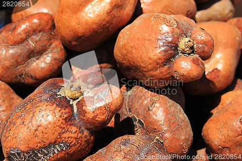 Image of Spices and herbs on market