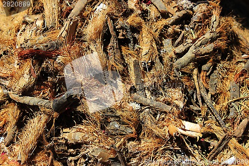 Image of Spices and herbs on market