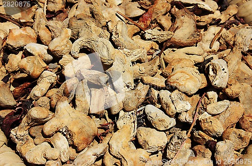 Image of Spices and herbs on market