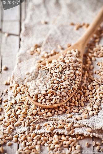 Image of wheat grain in wooden spoon