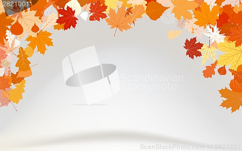 Image of Abstract fly leafs vector background. EPS 8