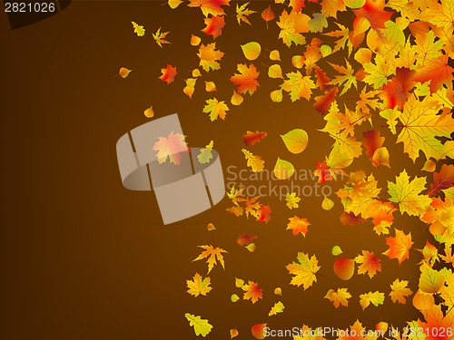 Image of Fallen autumn leaves background. EPS 8