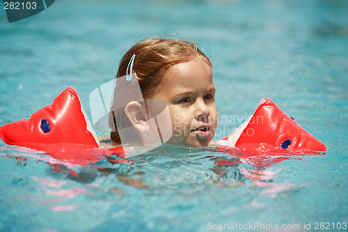 Image of Swimming