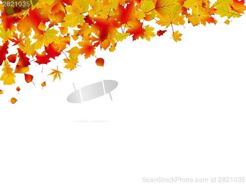 Image of Autumn card of colored leafs. EPS 8