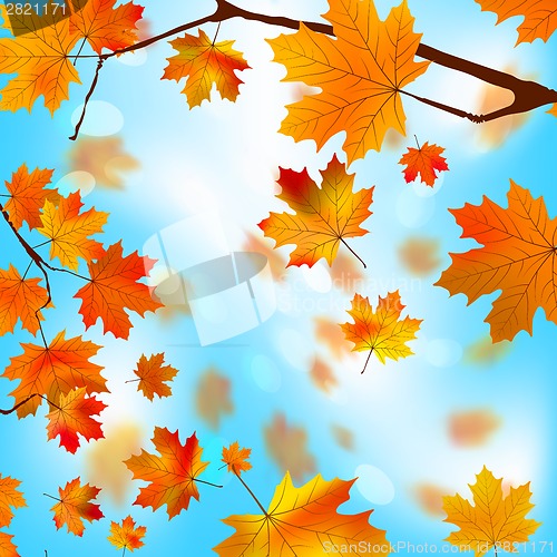 Image of Autumn tree maple leaves against the blue EPS 8