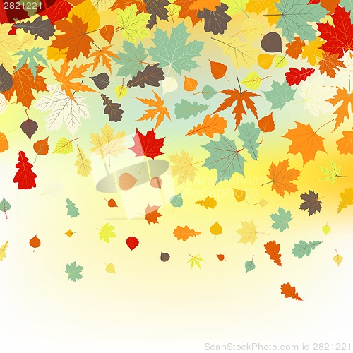 Image of Colorful backround of fallen autumn leaves. EPS 8