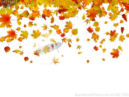 Image of Background of autumn leaves. EPS 8