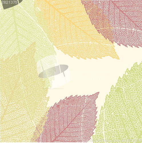 Image of Autumn Leaves Pattern. EPS 8