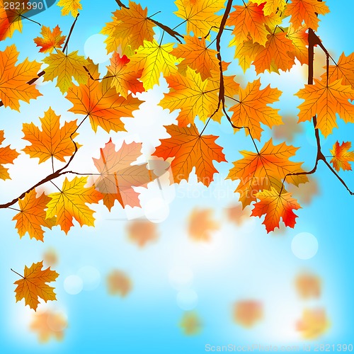 Image of Red and yellow leaves against blue sky. EPS 8