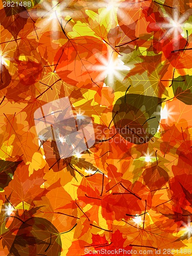 Image of Sun pushing through a varicoloured leaves. EPS 8