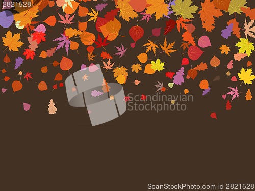 Image of Falling multicolor autumn leaves. EPS 8