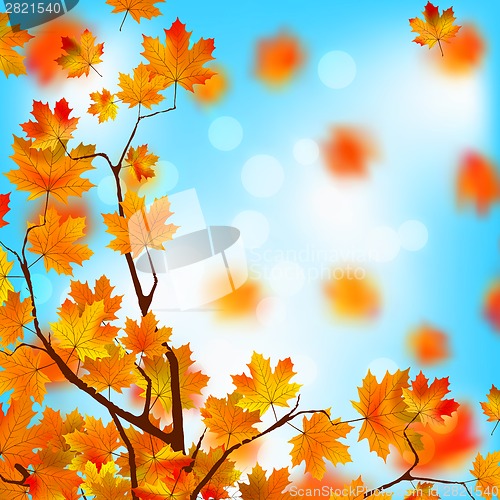 Image of Red and yellow leaves against blue sky. EPS 8