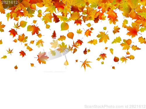 Image of Background of autumn leaves. EPS 8