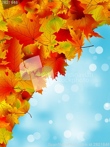 Image of Autumn leaves on blue sky. EPS 8