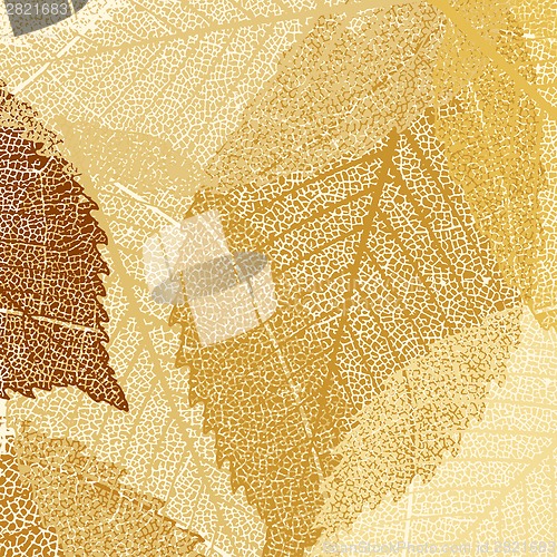 Image of Dry autumn leaves template. EPS 8