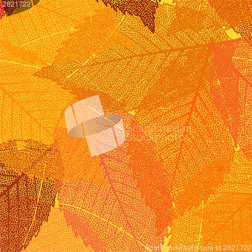 Image of Dry autumn leaves template. EPS 8