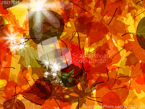 Image of Sun pushing through a varicoloured leaves. EPS 8