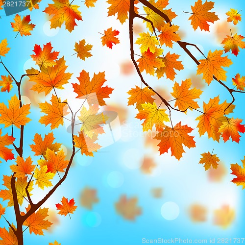 Image of Red and yellow leaves against blue sky.EPS 8