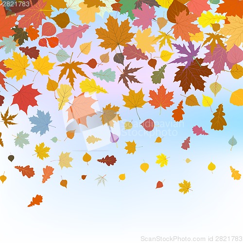 Image of Beautiful autum leaves against sky. EPS 8