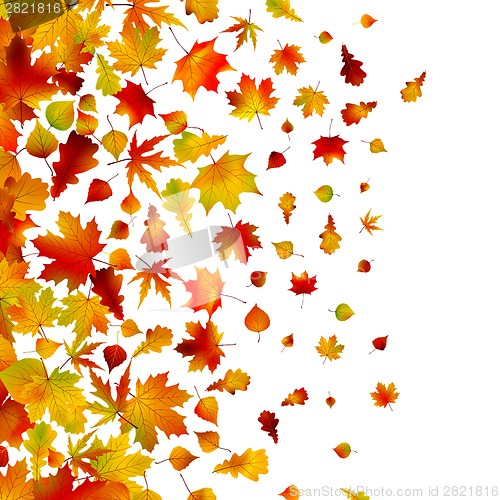 Image of Autumn leaves, background. EPS 8