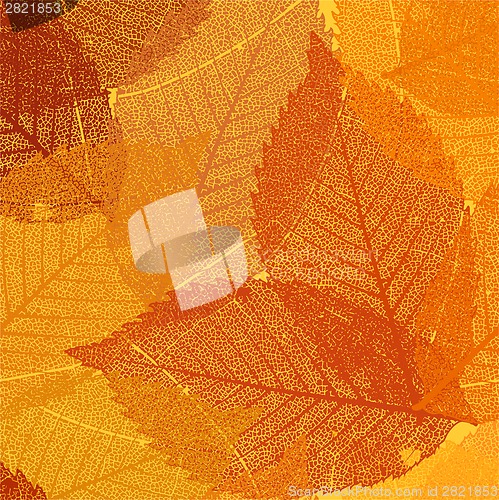 Image of Dry autumn leaves template. EPS 8