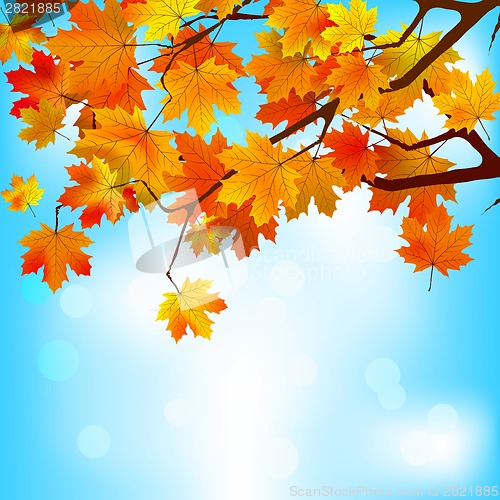 Image of Red and yellow leaves against bright sky. EPS 8