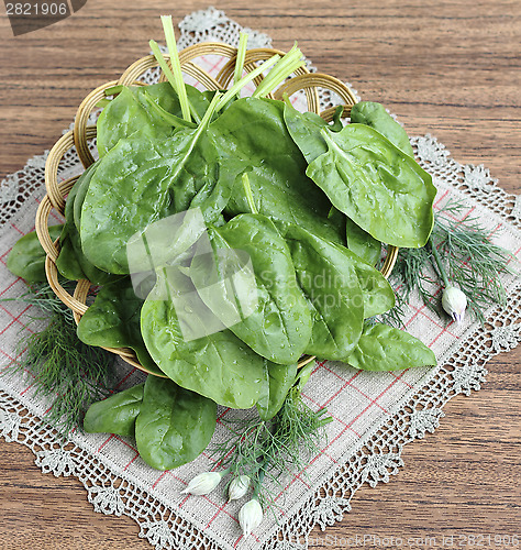 Image of Spinach leaves