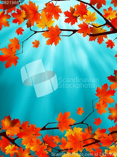 Image of Red and yellow leaves against a blue sky. EPS 8