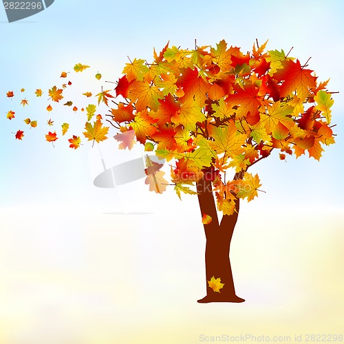 Image of Maple tree, autumn leaf fall. EPS 8