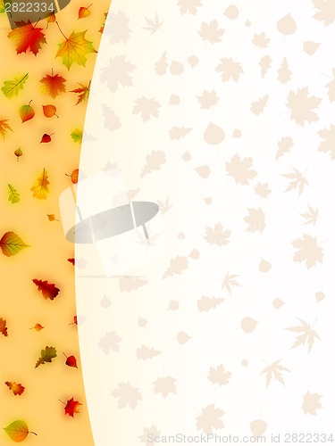 Image of Colorful autumn leaves card. EPS 8