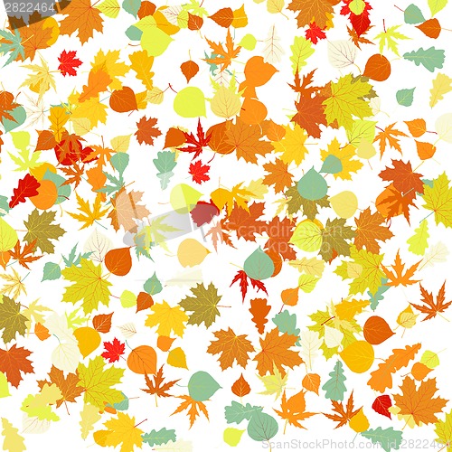 Image of Pattern with autumn leafs. EPS 8