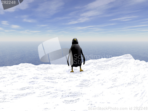 Image of Lonely penguin