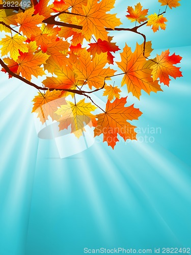 Image of Red yellow fall maple leafs over sky. EPS 8