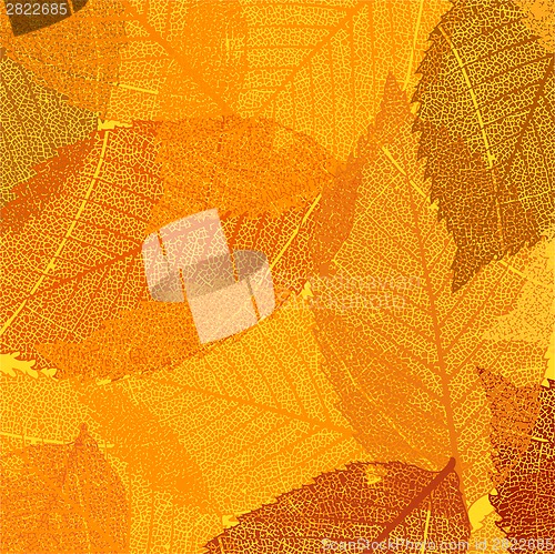 Image of Dry autumn leaves template. EPS 8