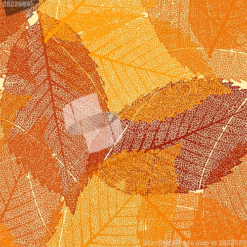 Image of Dry autumn leaves template. EPS 8
